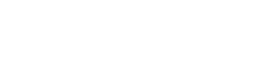 Logo Wayfer